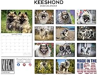 Vista 871 de Razas de Perros 2017