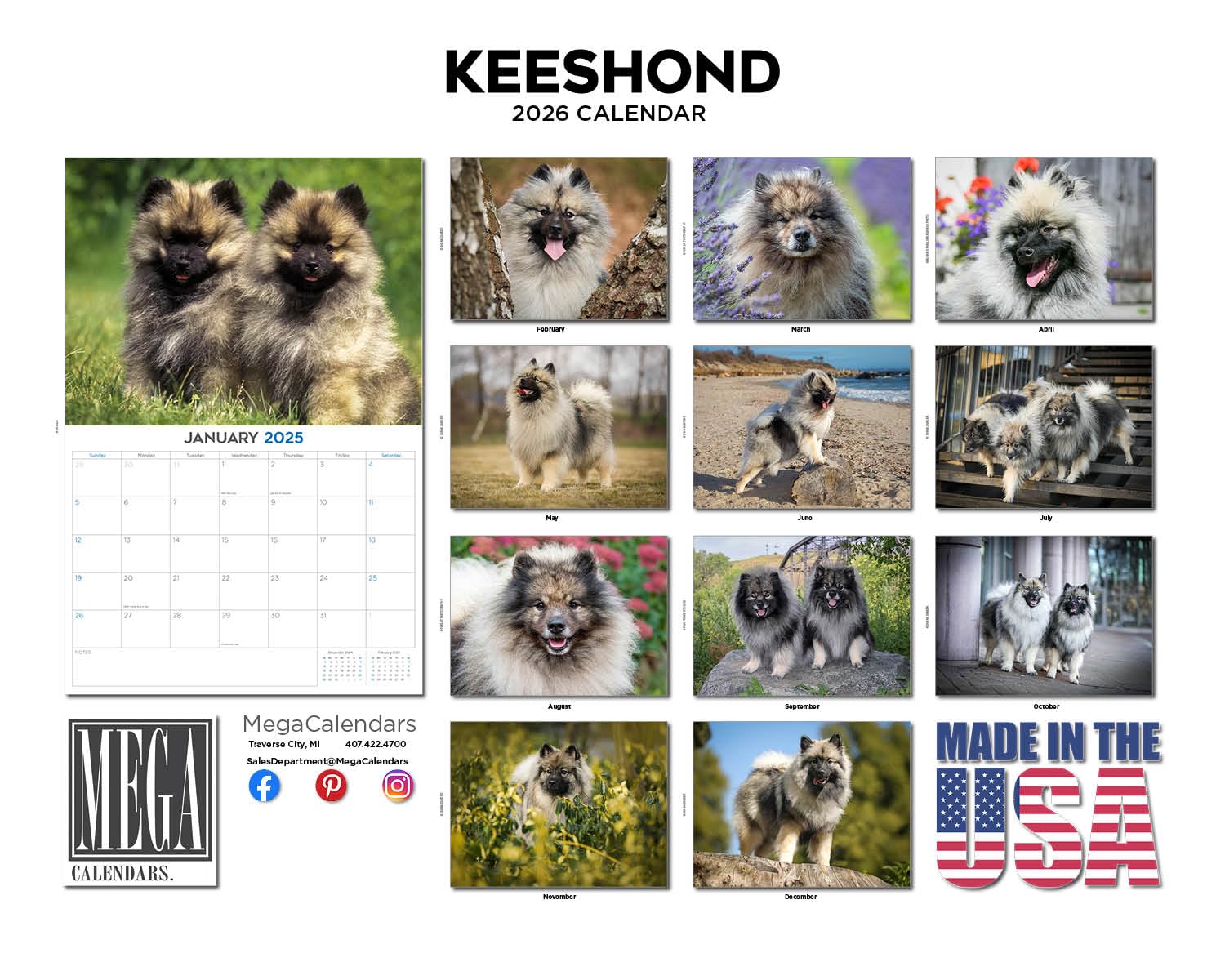 Kalendarz Keeshond 2024 2025 - miesięczny kalendarz ścienny rasy psów - 30 x 45 cm otwarty - gruby papier bez przebarwień - prezent - akademicki planer nauczyciela kalendarz organizowanie i planowanie
