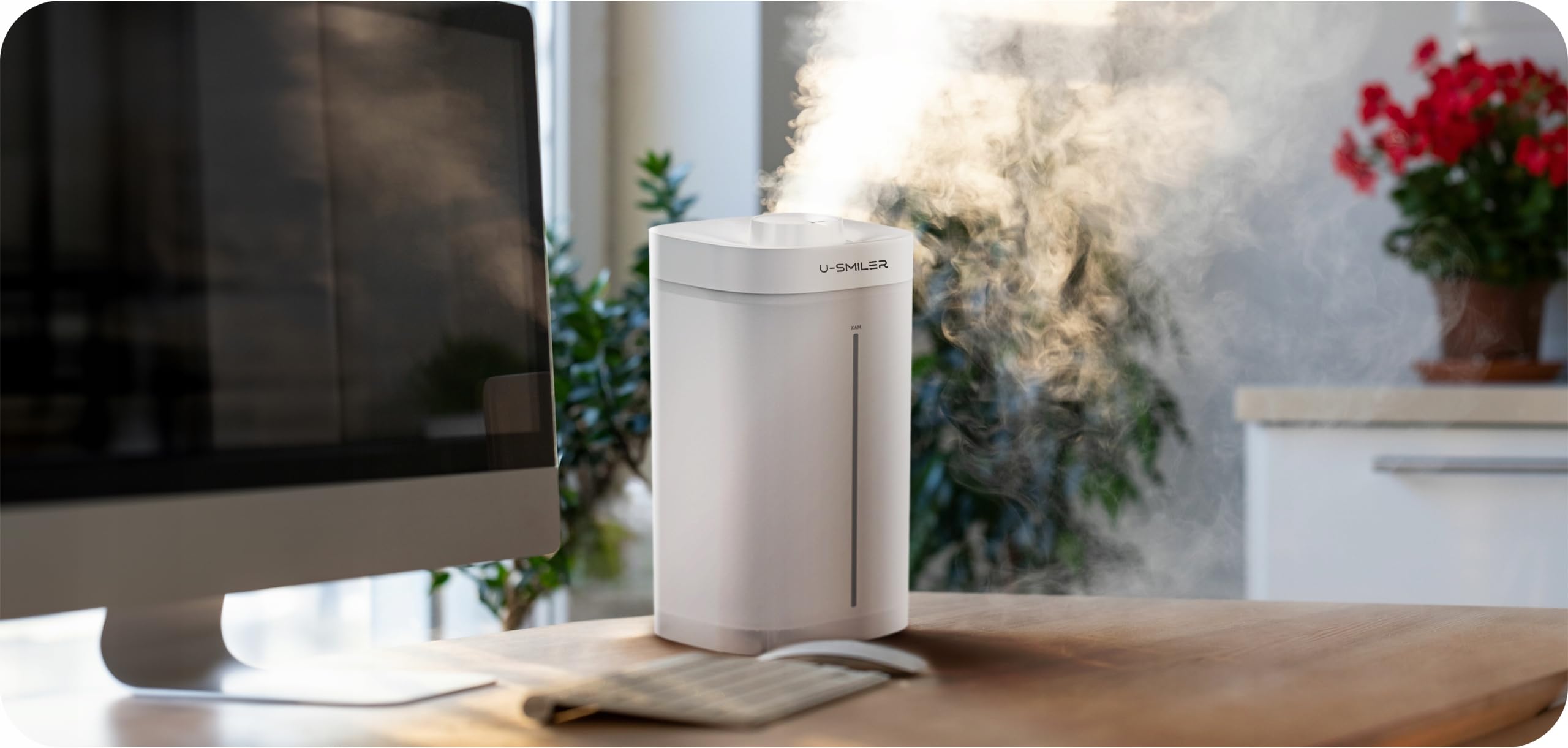 Umidificatore 3,5L con aromaterapia, diffusore ad ultrasuoni per oli essenziali, purificatore d'aria e umidificatore, umidificatore silenzioso per camera da letto, piante, appartamento