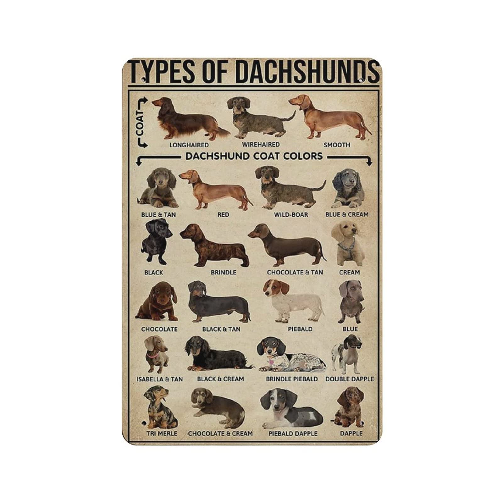 rayprint Dachshund Type Knowledge Tin Sign Metal Plaque Art Hanging Iron Painting Retro Home Kitchen Garden Garage Wall Decor 12"x8"