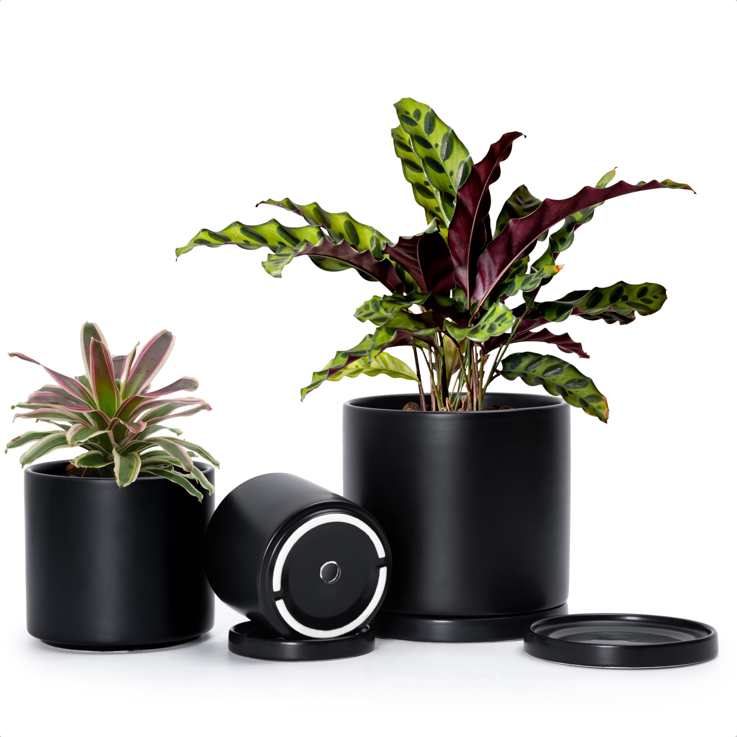 Photo 1 of **Only Two** D'vine Dev Terracotta Pots (3-Pack)
