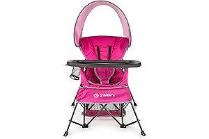 Baby Delight Go with Me Venture Portable Chair for Kids Beach 2 Pack