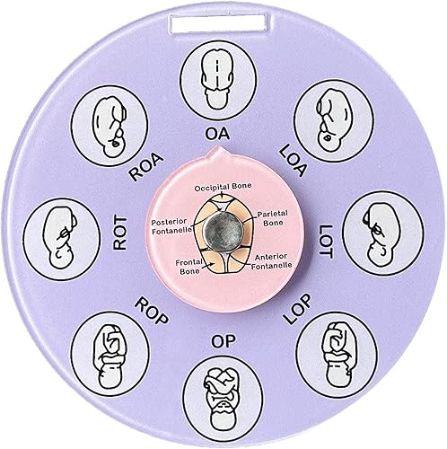 Herramienta de posición fetal de partera, regalos de partera, suministros de Doula, rueda de posición fetal, herramientas educativas para el parto,