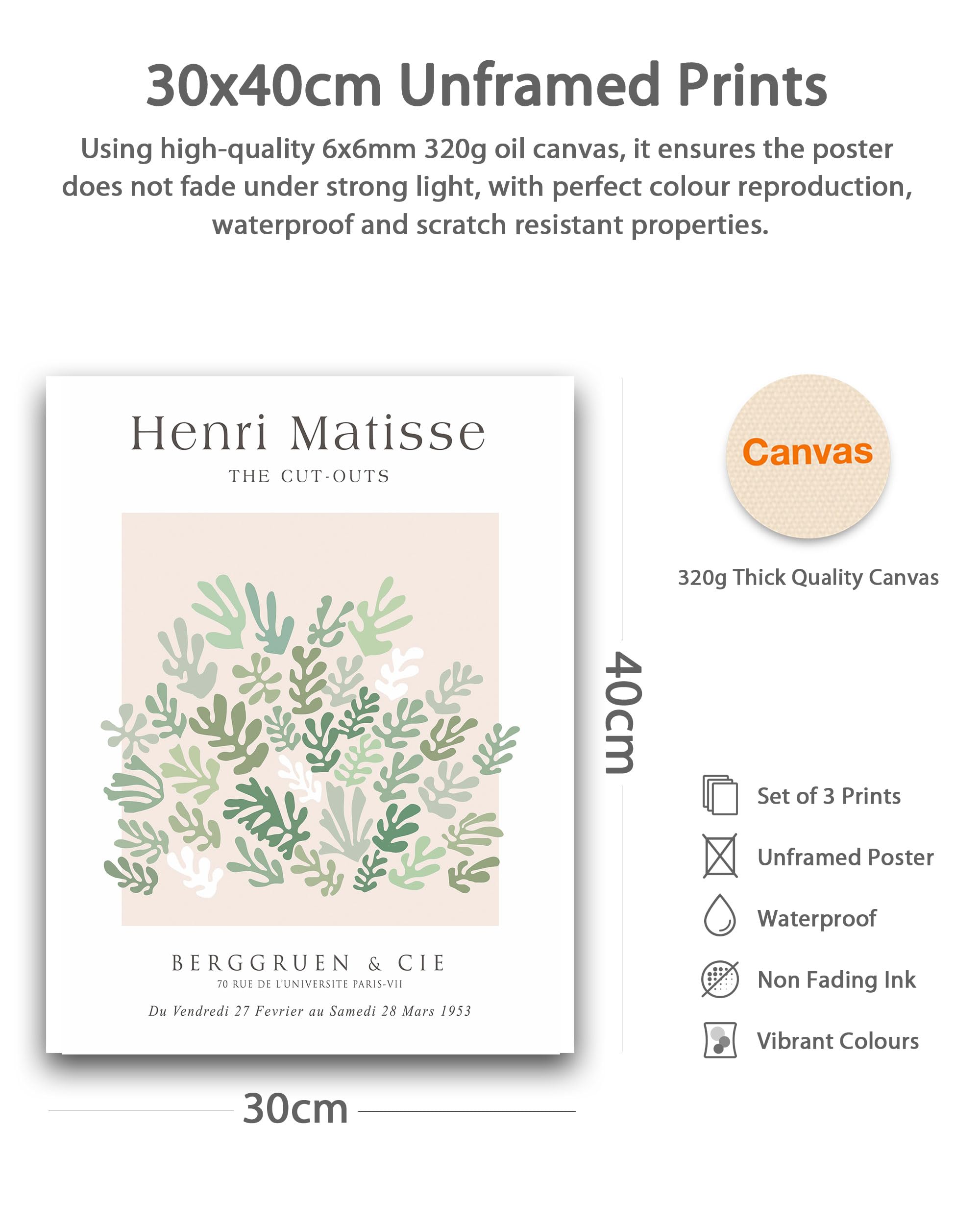 HesenDot Unframed Matisse Wall Art Set of 3,30x40CM Sage Green Wall Decor Exhibition Posters,Abstract Botanical Canvas Prints,Boho Home Decoration for Bathroom Living Room Bedroom Office - Image 2
