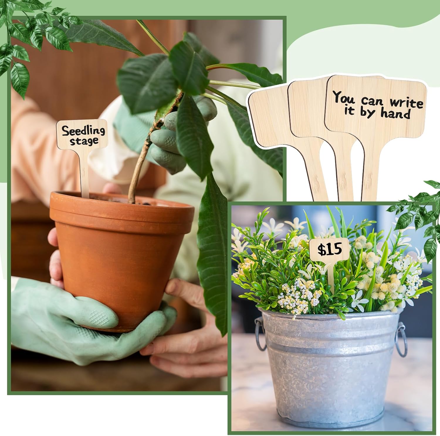 Thinp 20 Pcs T-Type Plant Labels, Bamboo Garden Labels Long Wooden T-Shape Plant Name Tags Garden Markers Sign-Plant Name Stakes for Seedling Vegetable Flowers Planting (6 X 18 cm) image 5
