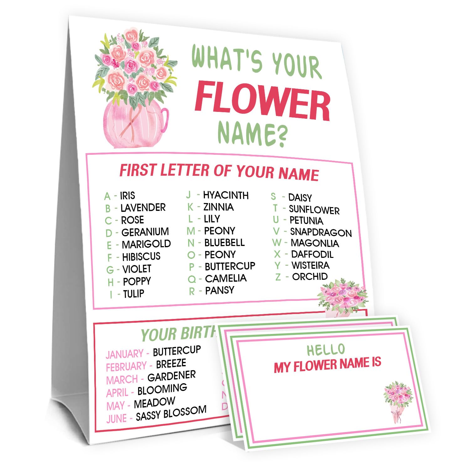 Beer Name Game Sign - Party Decorations -20