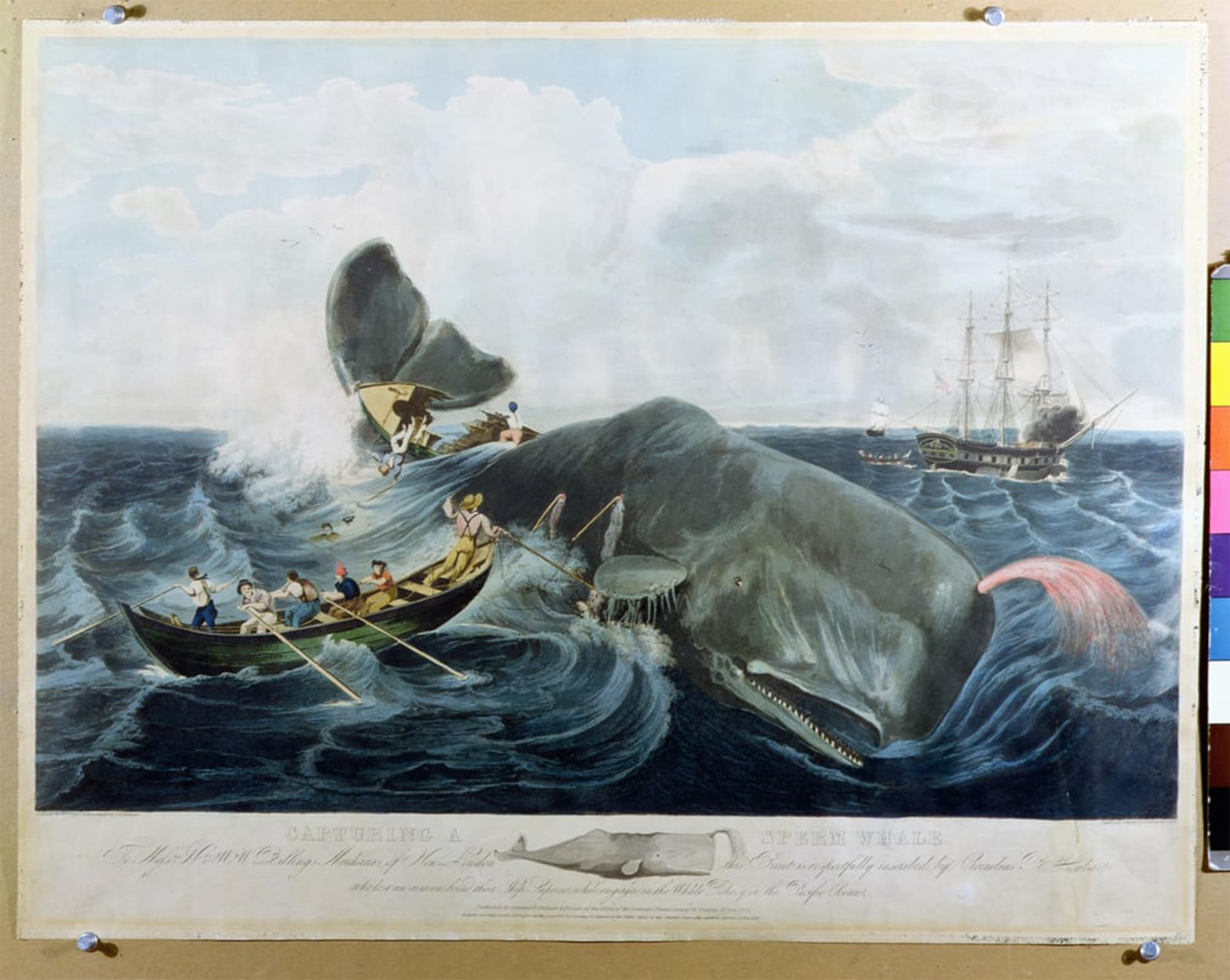 HRJUBWREE Classic Canvas Picture Art Canvas Print Modern Oil Painting Capturing a Sperm Whale by William Page Artwork on Wall for Office Decor 60x90cm