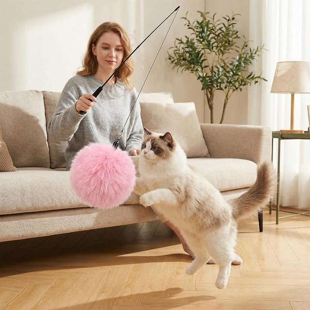 Foto 5 de 6 de Culinavog Juguete Pluma de Gato Interactivo 14 Piezas, Juguetes para Gatos con Campana