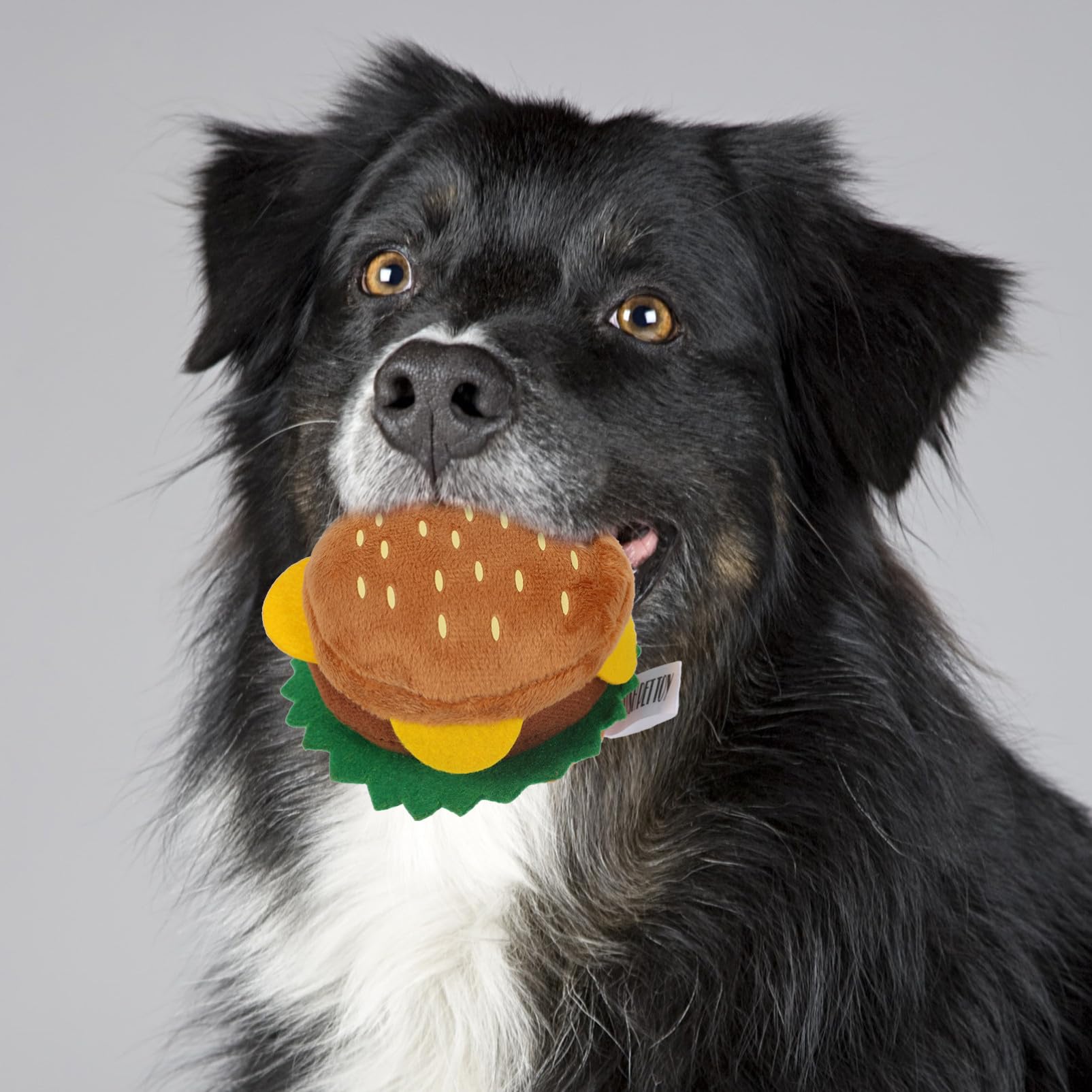 Toddmomy Jouet Sonore en Peluche pour Chien Imitation Nourriture, Résistant à Morsure, Jouet à Couinement Intégré pour Chiots Pendant Le Jeu Activités