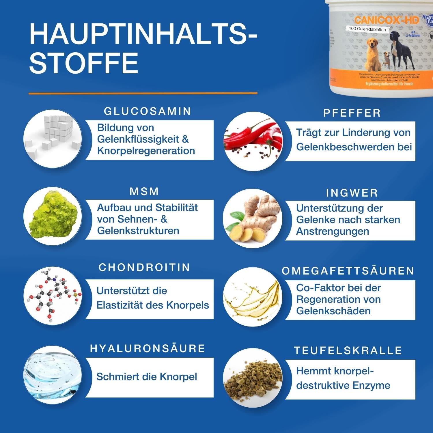 NutriLabs Canicox-HD Gelenktabletten für Hunde zur Unterstützung bei Gelenksproblemen mit Glucosamin, Chondroitin & Acid Protect Hund Magenkräuter Kautabletten zur Unterstützung
