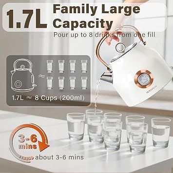 Retro Electric Kettle, 1.7L Stainless Steel Tea Kettle with Large Temperature Gauge, 2200W Fast Heating Hot Water Boiler with LED Indicator, Auto Shut-off & Boil-Dry Protection-Retro (white)