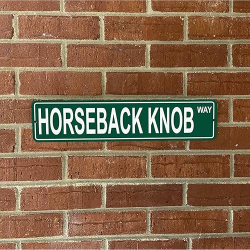 Vista 293 de Ohio Mountains Pick Your Mountain Compatible/repuesto para Ballards Hill United States Mountain Aluminio Metal Tin Street Sign Style decoración