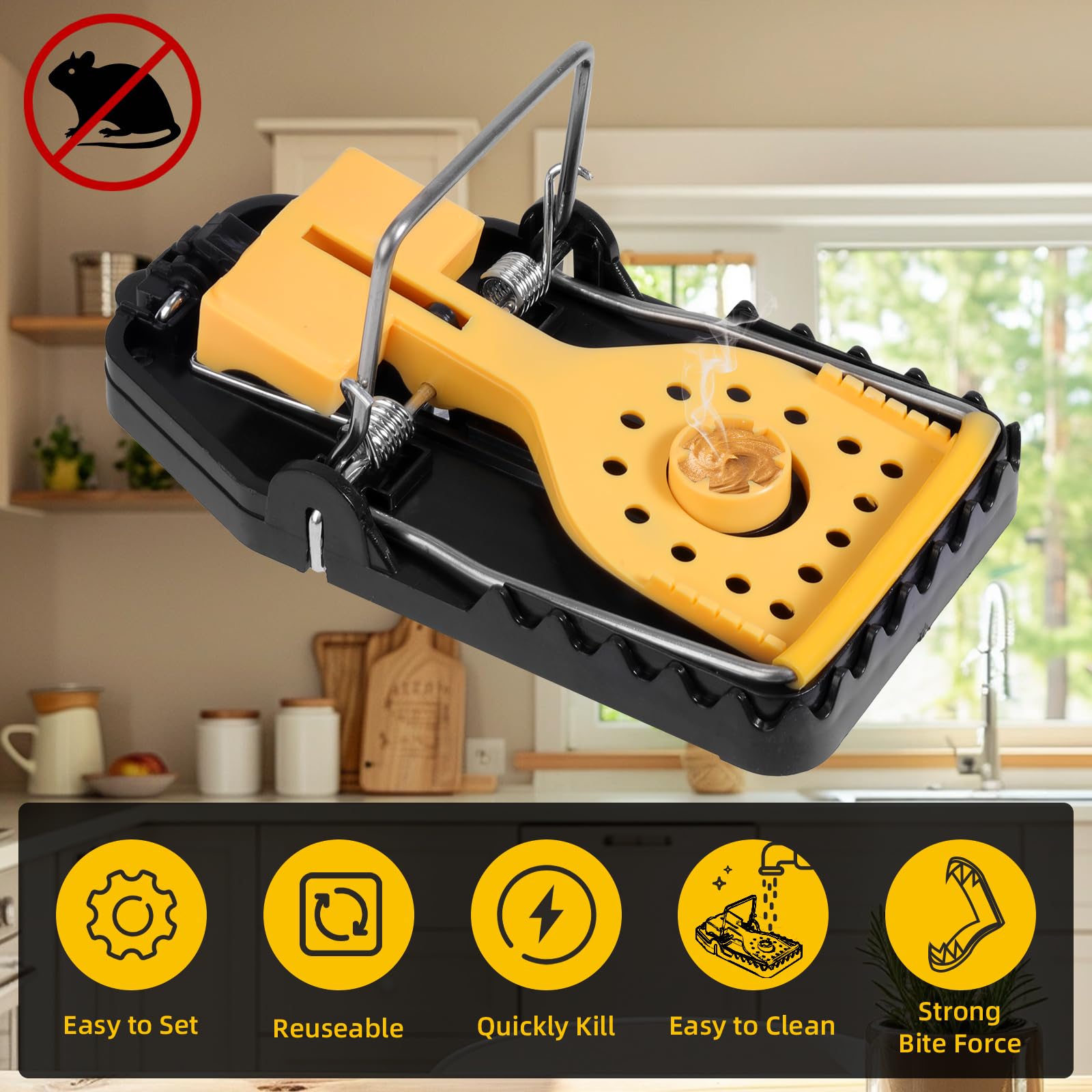 View 7