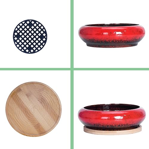 Miniatura 16 de ARTKETTY Macetas para suculentas con drenaje, maceta grande para suculentas con soporte y platillo, macetas poco profundas para bonsái de cerámica