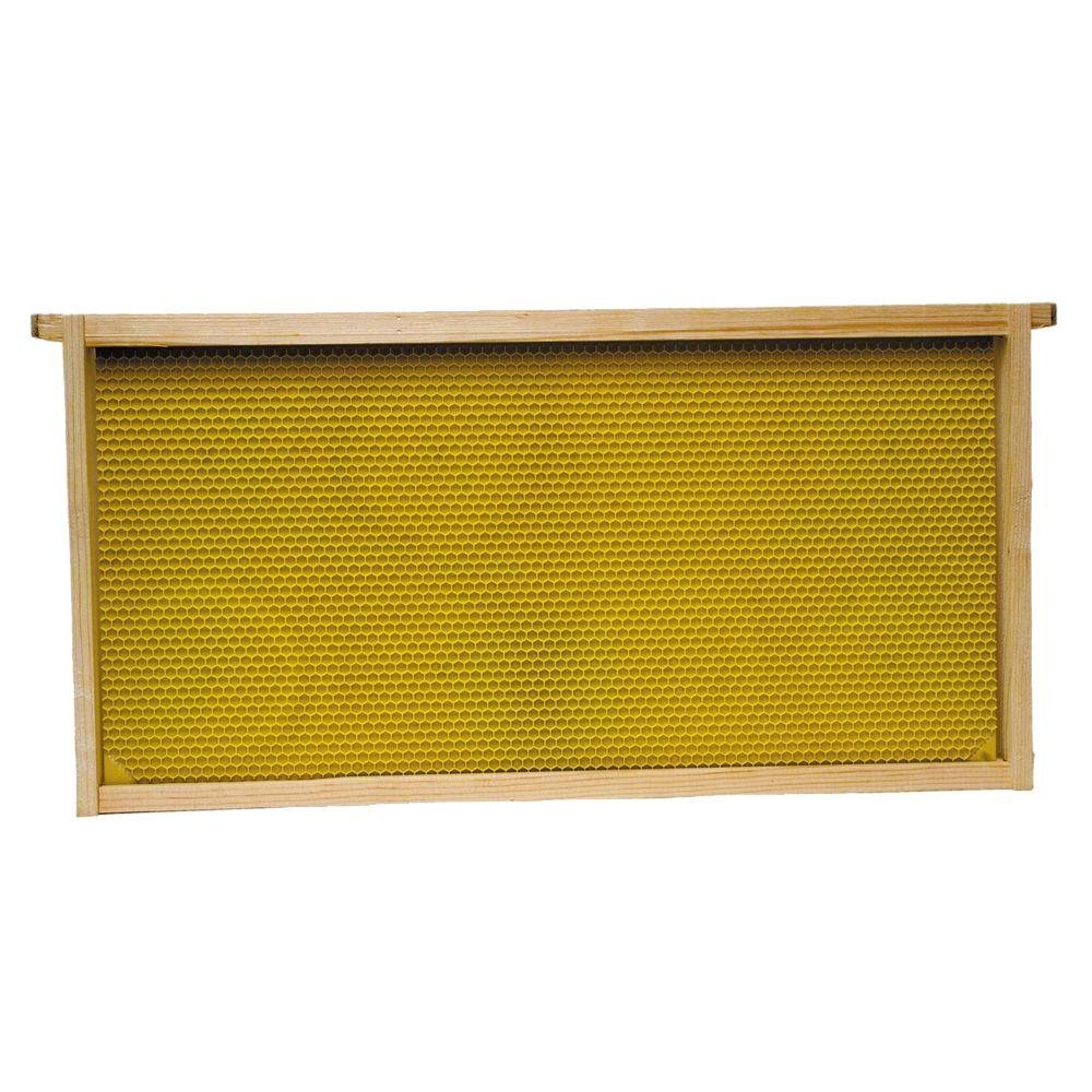 Ernte Lane Honig Tief/flach Bee Rahmen (5 Pack)