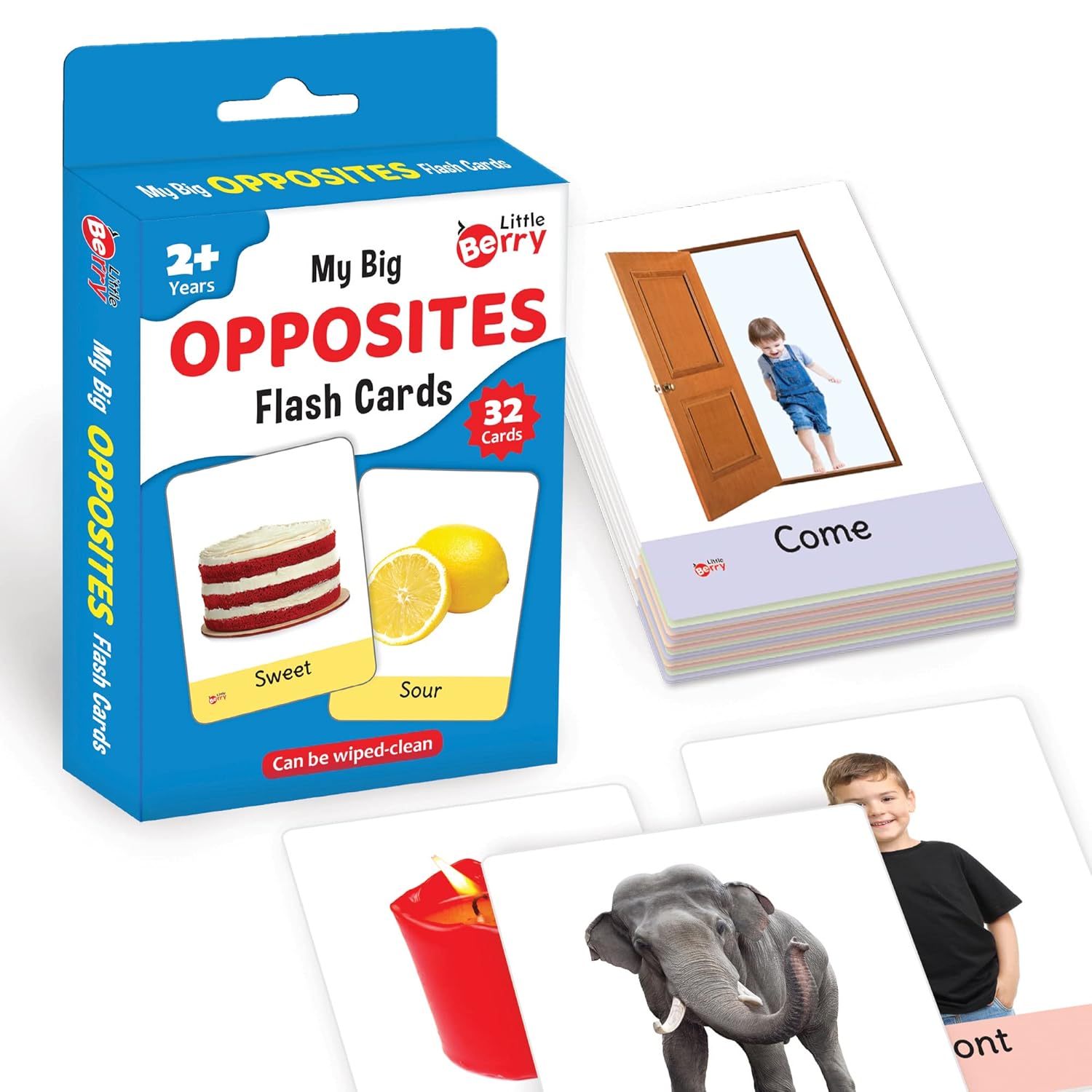 Buy Little Berry Big Flash Cards for Kids Opposites 32 Doublesided