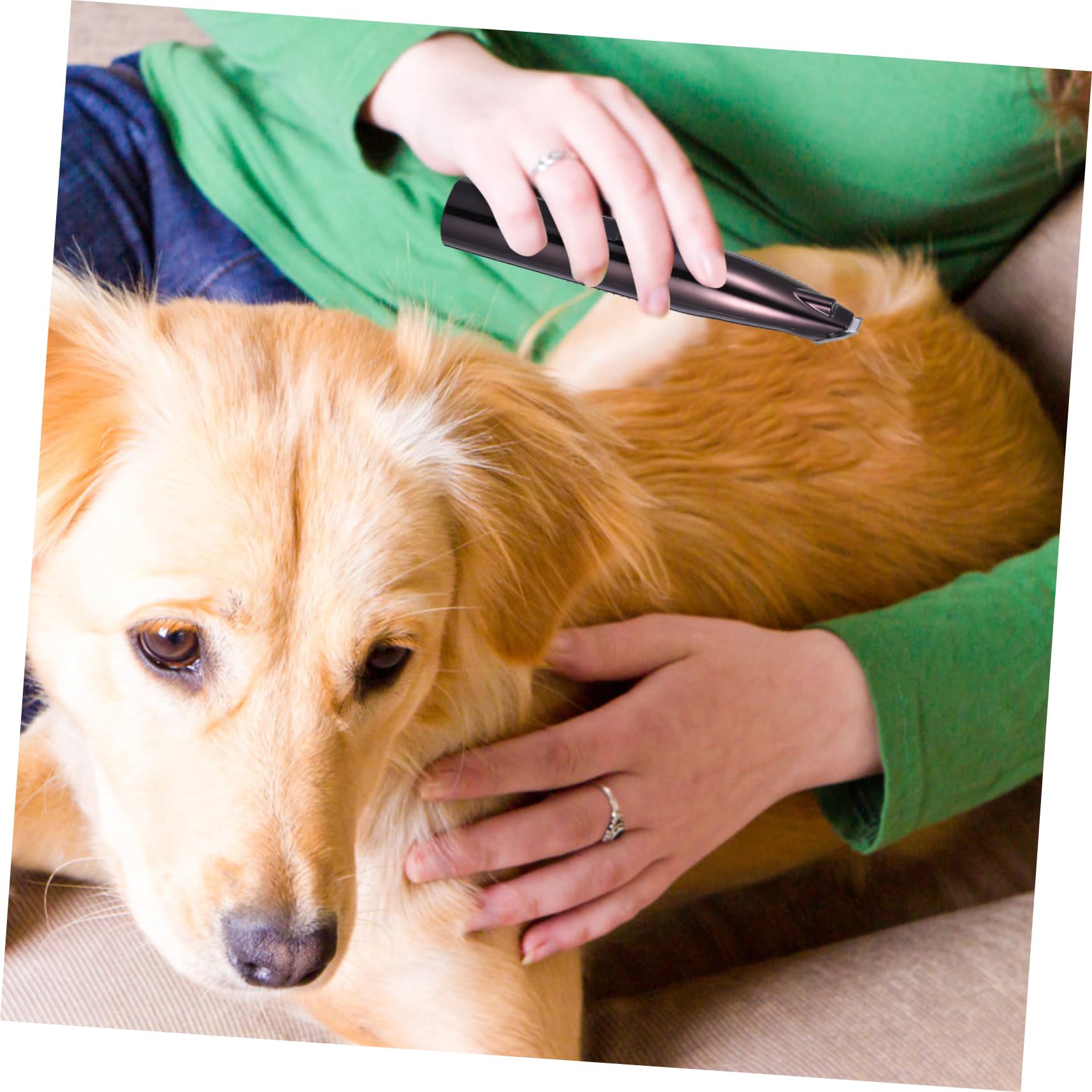 Tondeuse à Poils de Chien USB, pour Pédicure des Pattes