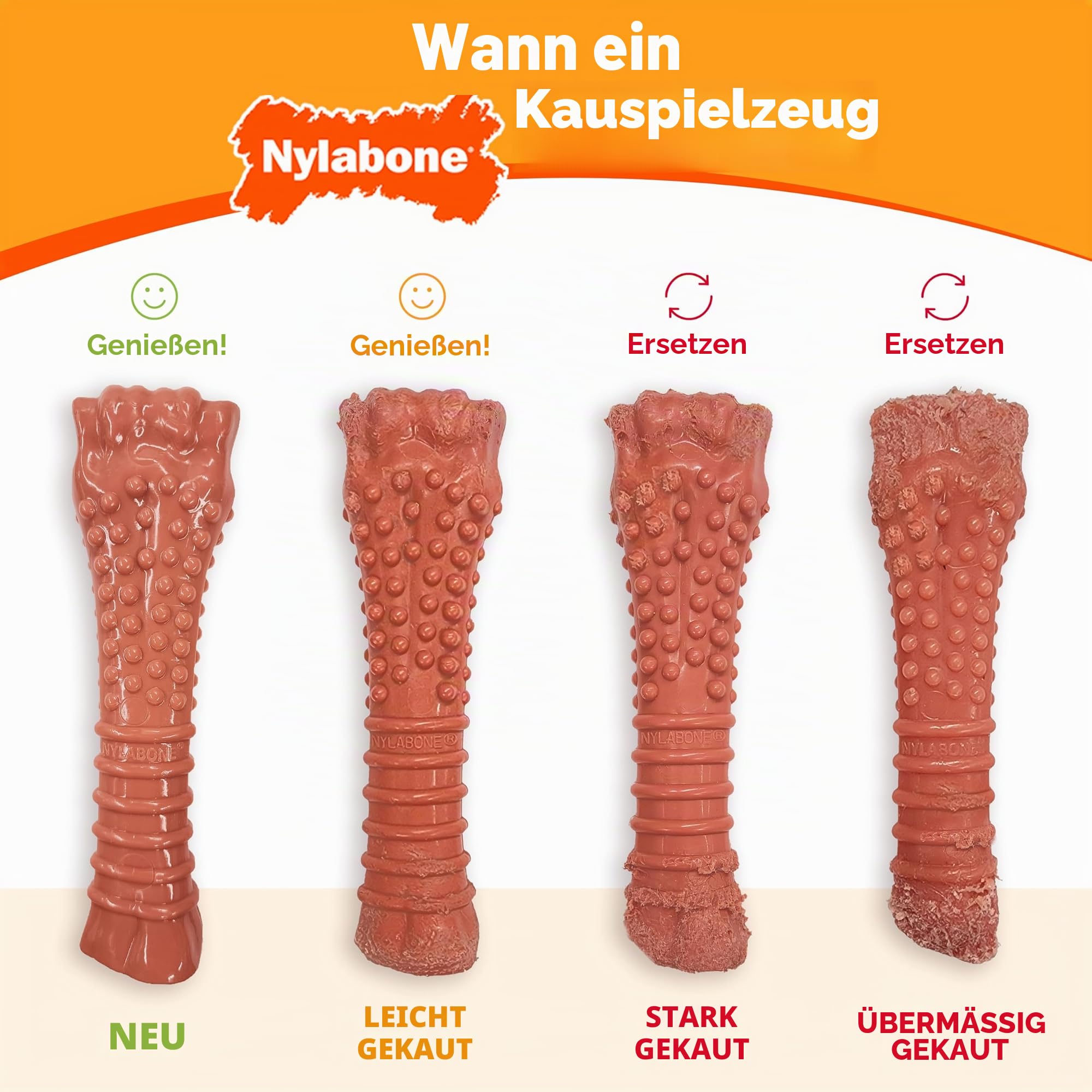 Nylabone Durable Power Dental Kauspielzeug für Hunde, Doppelpack, Rind Jerky & Huhngeschmack, groß, für Hunde bis zu 23 kg (2 Stück)