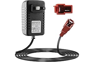 6V Battery Charger for Rollplay Cars