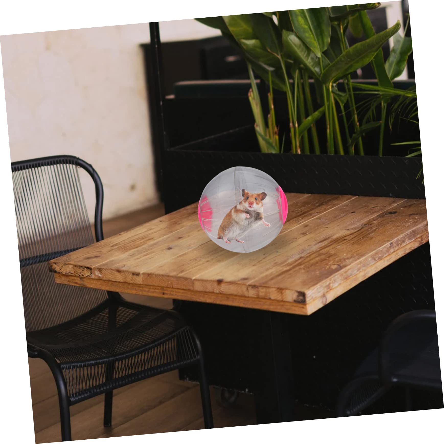 Happyyami Giant Hamster Ball Exercise Ball for Rats Pet Running Wheel Squeeze Toy Hamster Accessory