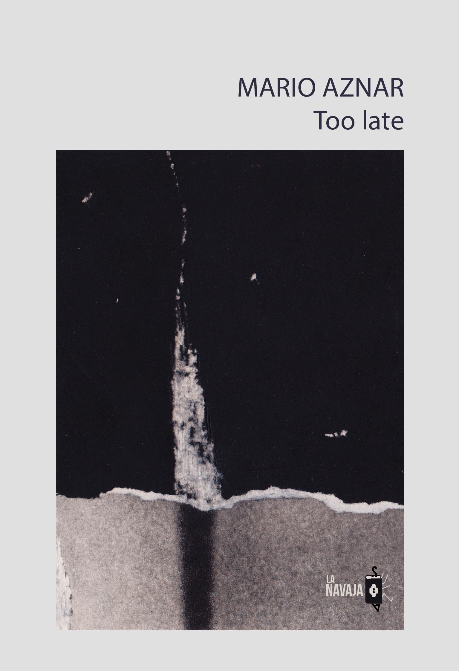 Too Late Spanish Edition une idée cadeau originale pour passionnés