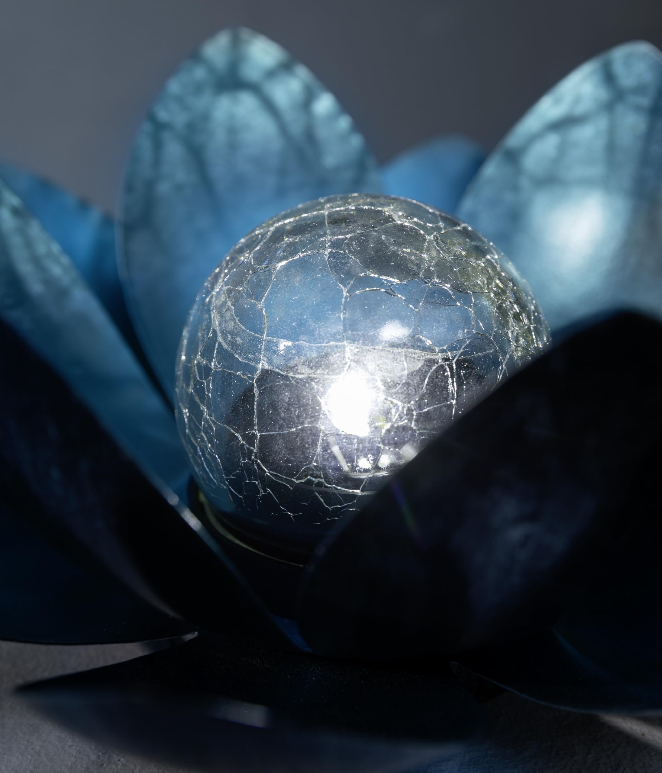 Dehner Lampa solarna Lotus | dekoracja solarna, dekoracja ogrodowa, dekoracja zewnętrzna, oświetlenie, oświetlenie ogrodowe | kwiat, kwiat lotosu | do ogrodu, na zewnątrz | metal | Ø 27,5 cm |