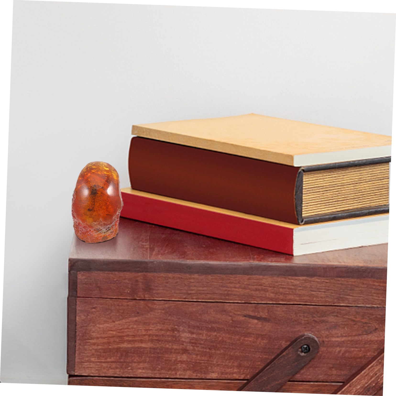 JECOMPRIS Amber Sample Insect Specimen Amber Stone Specimen Insect Stone Decor Insect Decor Home Decor Insect Sample Insect Stone Specimen Insect Amber Specimen Amber Adornment Resin