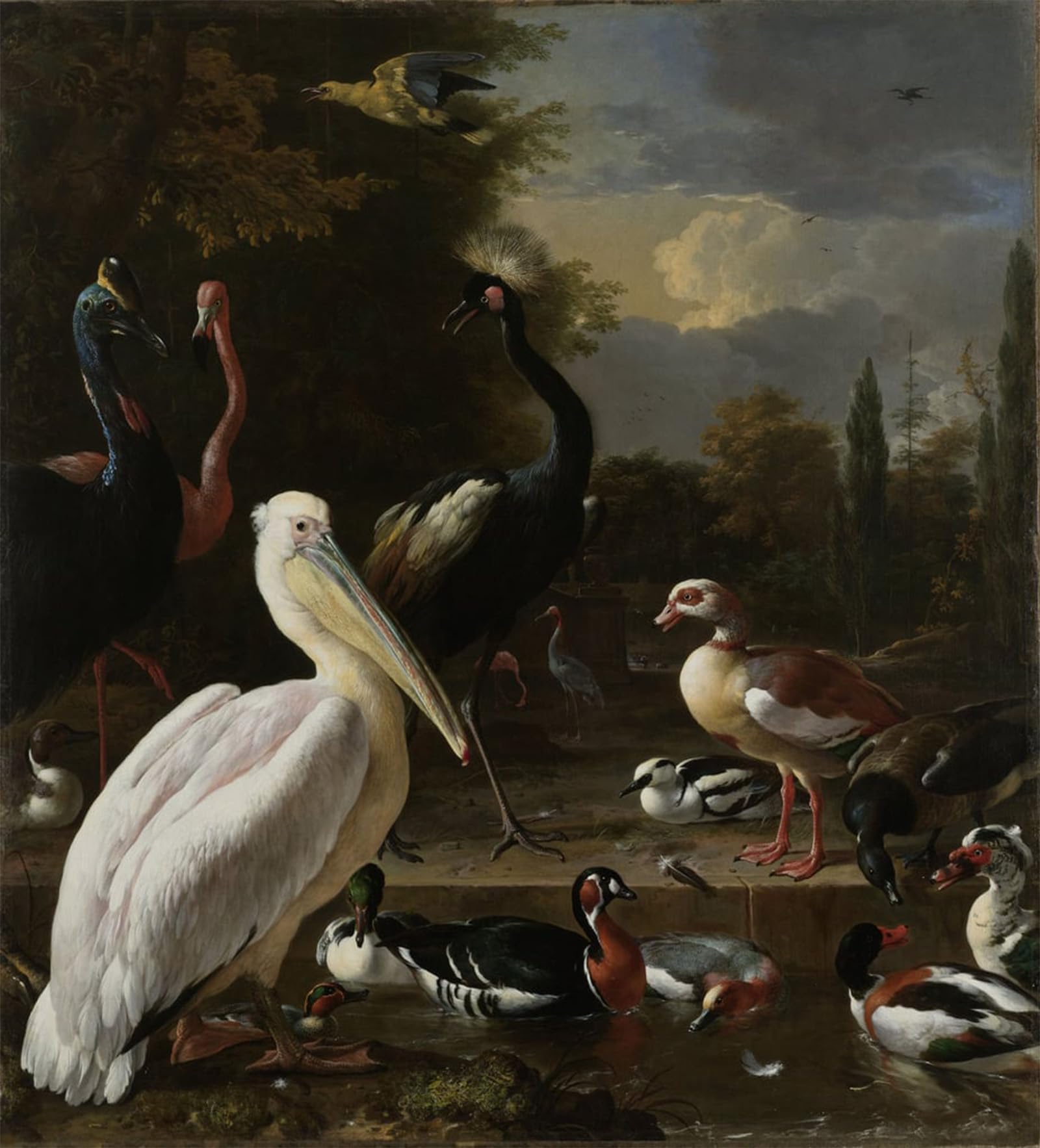 POSTERIIk Famous Animal Posters Vintage Picture Other Birds Near a Pool Known As the Floating Feather by Melchior De Hondecoeter Modern Wall Decor for Home Decor 60x90cm