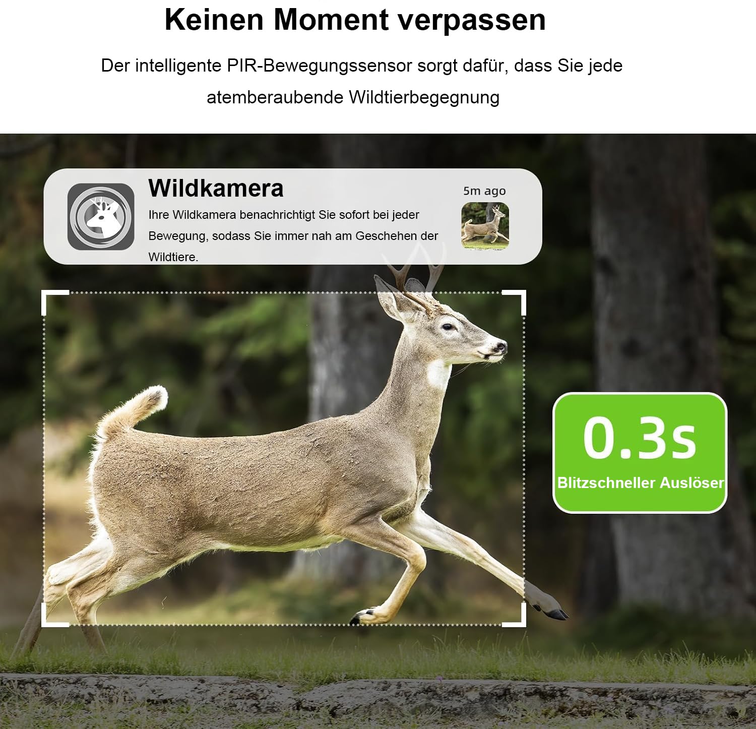 Naturepar F8 Wildkamera – 14MP 4G Wildkamera mit Nachtsicht und Bewegungserkennung 4K Wildtierkamera mit 60MP, WLAN, APP-Steuerung, Nachtsicht & IP66 wasserdicht