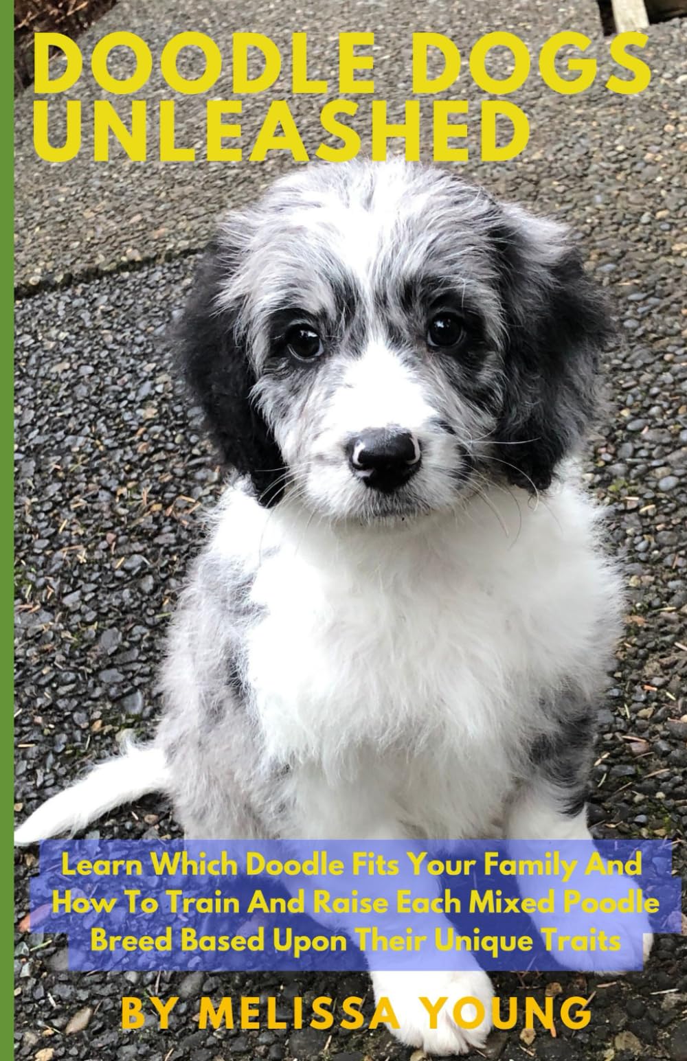 Doodle Dogs Unleashed!: Learn Which Doodle Fits Your Family And How To Train And Raise Each Mixed Poodle Breed Based Upon Their Unique Traits