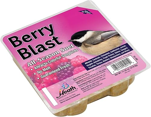 Miniatura 12 de Heath Outdoor Products - Pastel de masa (12 unidades), Baya , Berry