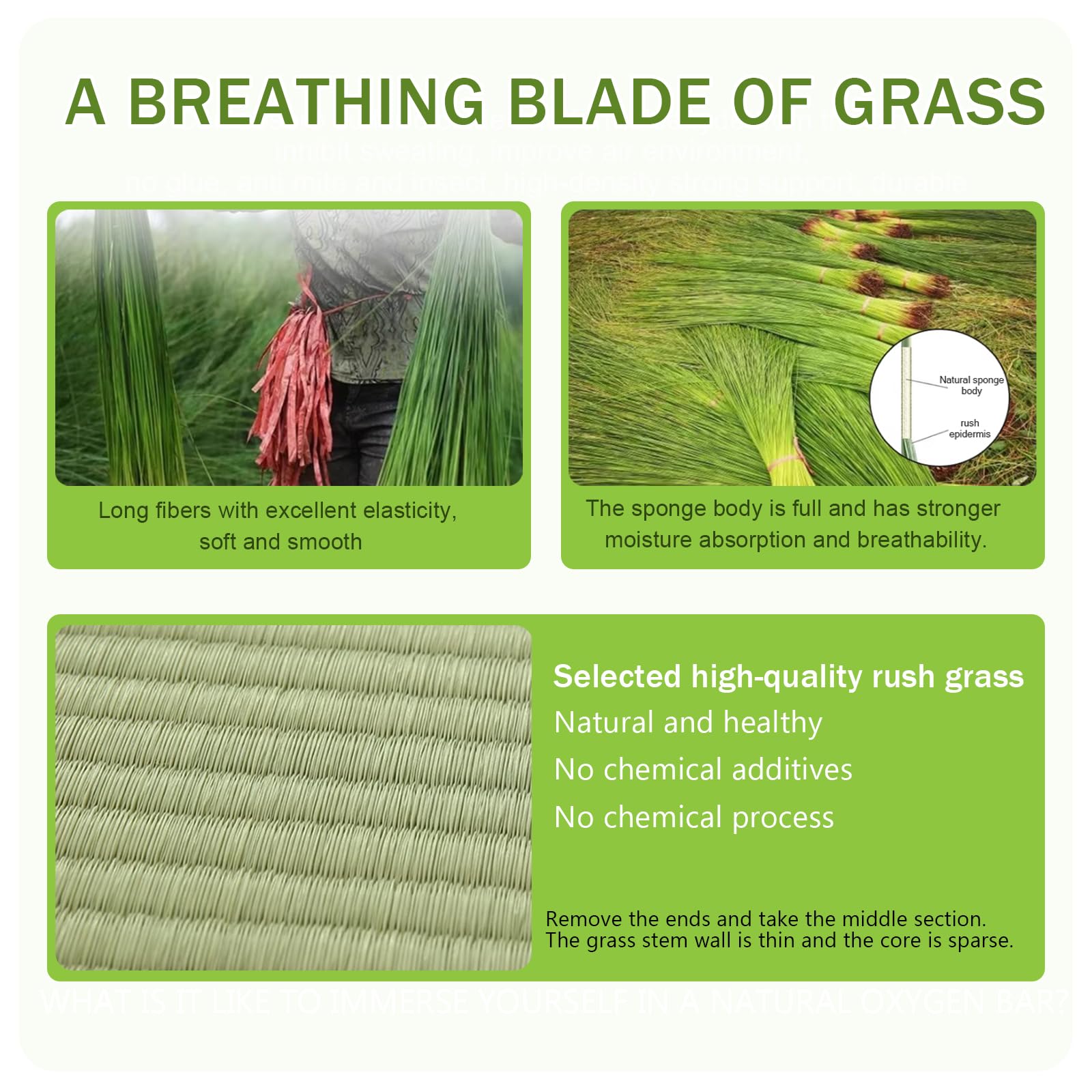 Materasso Tatami Tradizionale Giapponese con Erba Corsa Verde Naturale, Tappeto a Pavimento Portatile a 4 Volte, Tessuto Comodo e Traspirante per Letto/Meditazione/Yoga(Size:100x200x3.5cm)