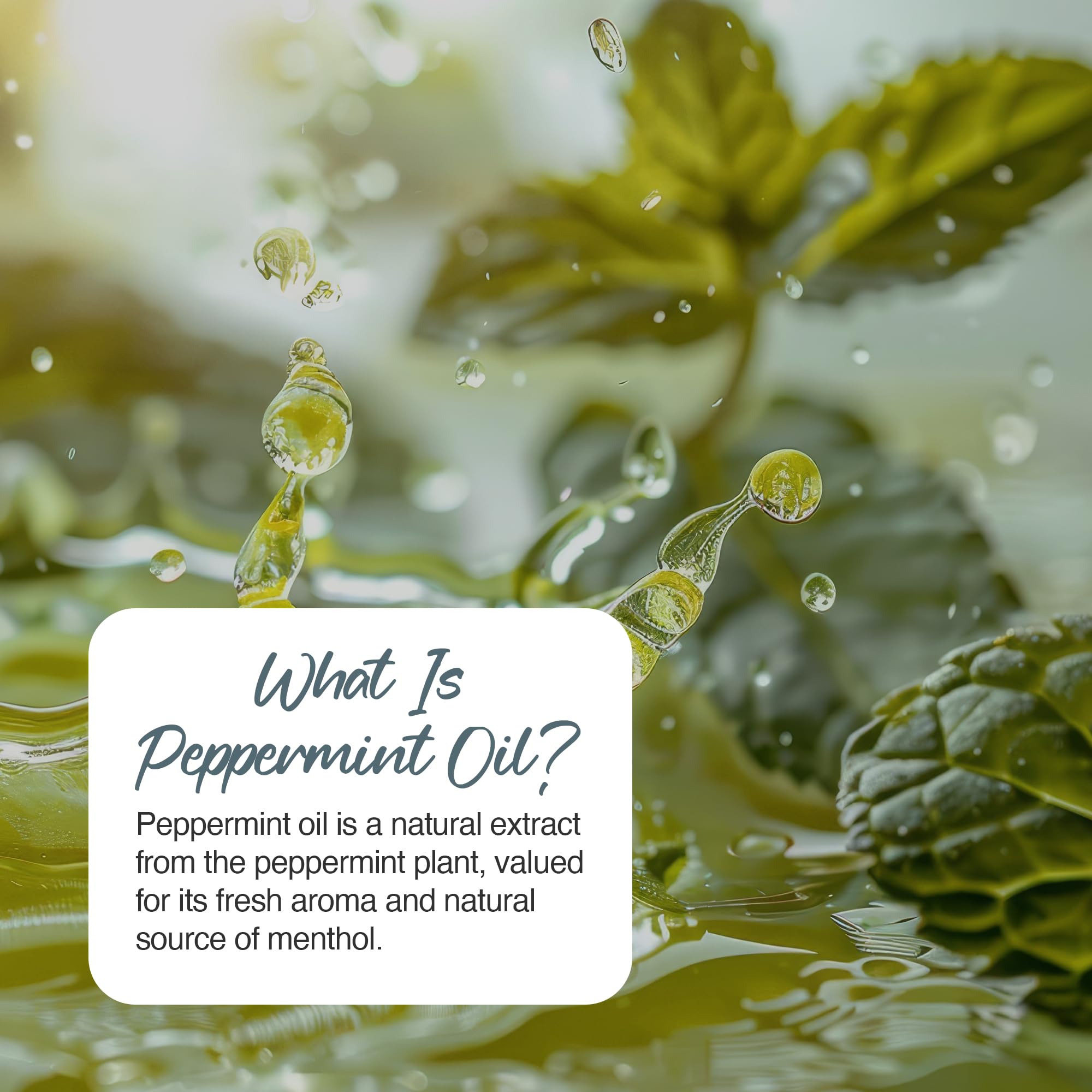 Zipvit Peppermint Oil Capsules 150mg, 180 Peppermint Capsules