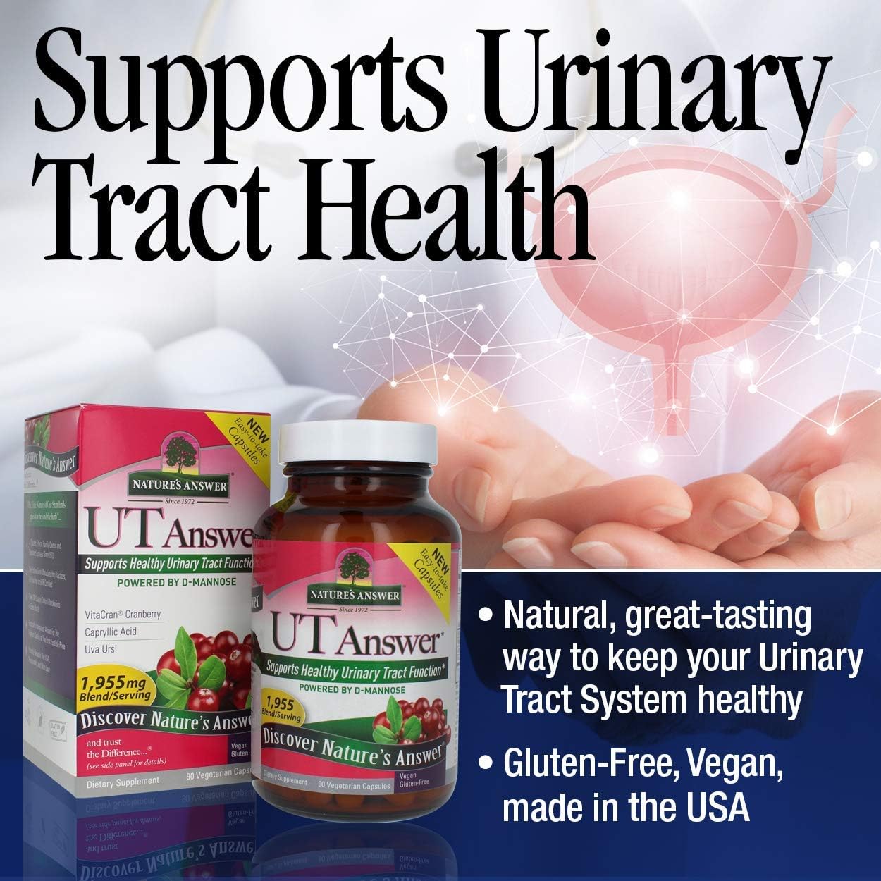 Nature's Answer Urinary Tract Health | Fast Acting Three-Day Regimen | Cranberry Flavor Dietary Supplement | Alcohol-Free, Gluten-Free, Kosher Certified, Vegetarian & Vegan 90 Capsules