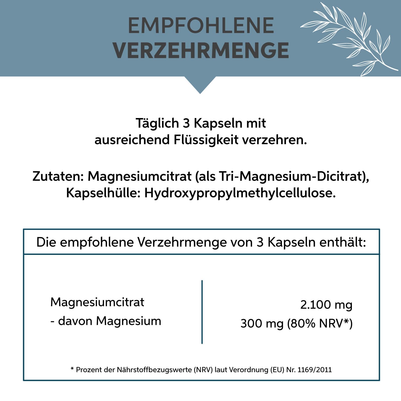 Magnesiumcitrat Kapseln 1000 Stück | Hochdosiert 300mg Tagesdosis elementares Magnesium | Tri-Magnesiumdicitrat