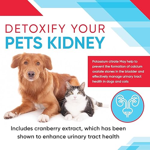 Miniatura 7 de Citrato de potasio más gránulos de arándano de 10.58 oz para gatos y perros  Soporte del tracto urinario  Ayuda a disuadir la formación de cálculos