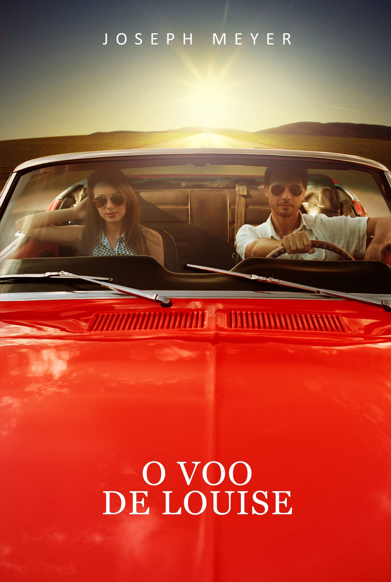 O Voo de Louise (Portuguese Edition)