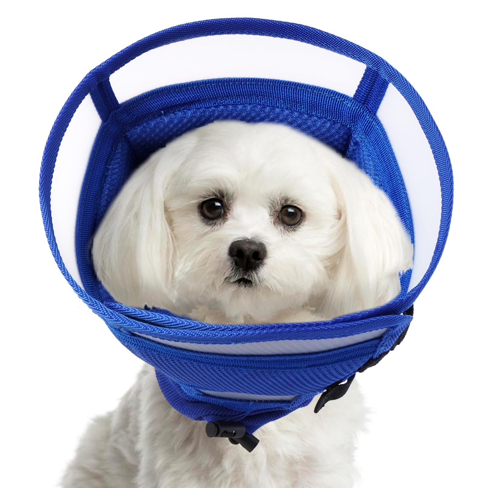 Hjyokuso Collar isabelino Perro, Collar isabelino Gatos, Collar isabelino Perro pequeño medianos Grande, collarin Perros para no rascarse, Conos de Recuperación para Mascotas - Azul M