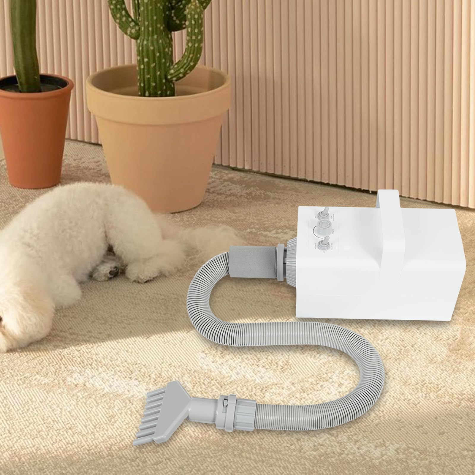 2800W Séchoir pour Animaux avec 4* Buses, 57dB Sèche-cheveux pour Chien, Vitesse et Température Du Vent Réglables, pour Petits, Moyens et Grands Chiens et Chats