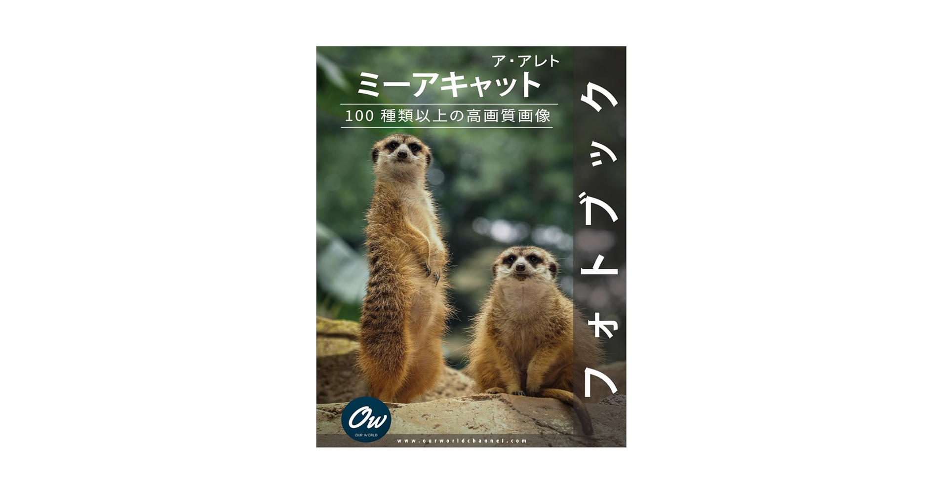 ミーアキャット: フォトブック : 100 種類以上の高画質画像 | わたし