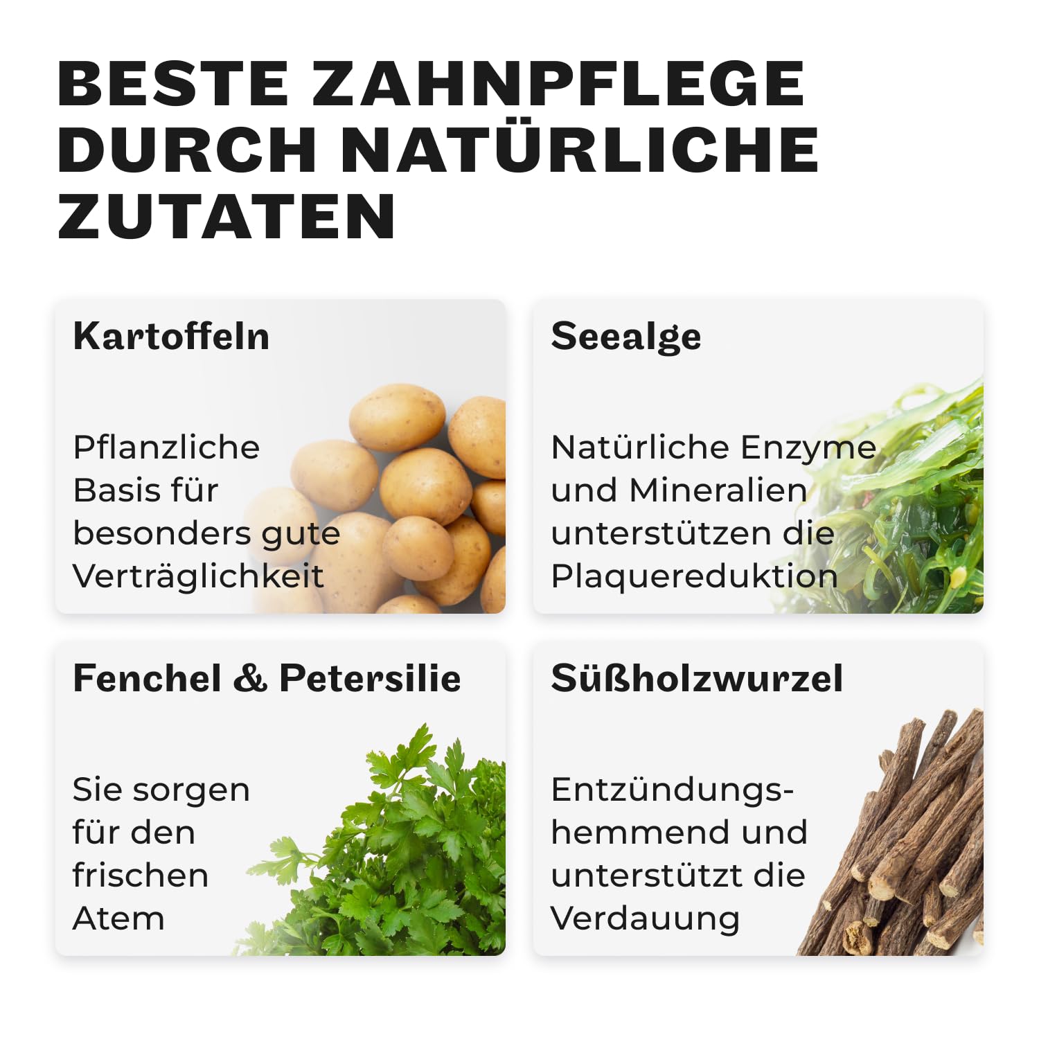 HEY HOLY Dental Sticks für Hunde | 8x180g Hundeleckerli zur täglichen Zahnpflege | Schutz für Zähne & Zahnfleisch | 100% natürliche, getreidefreie Inhaltsstoffe (56 Sticks)