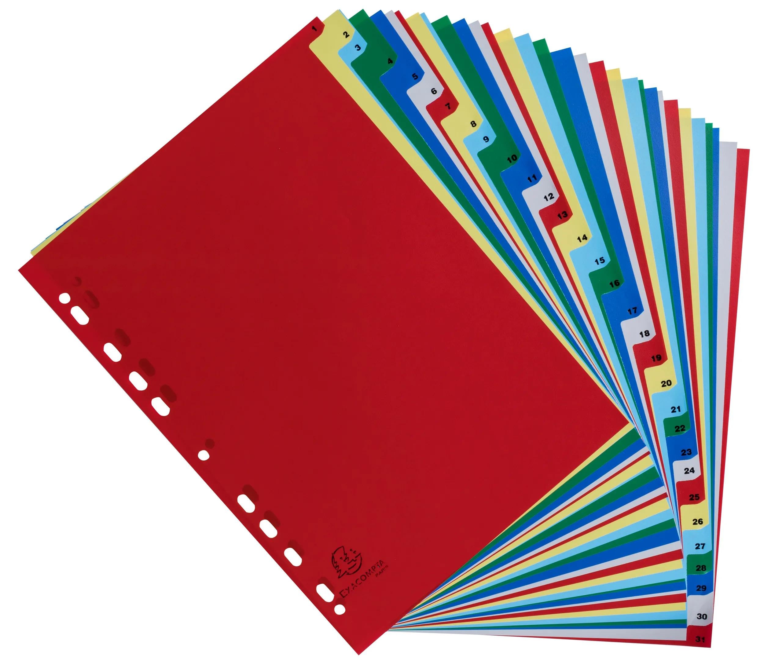 Exacompta - Art.-Nr. 93E – Karton mit 20 Registern aus Polypropylen mit 31 digital bedruckten Registern von 1 bis 31 in Farbe – Indexierseite – Format A4 – 22,5 x 29,7 cm