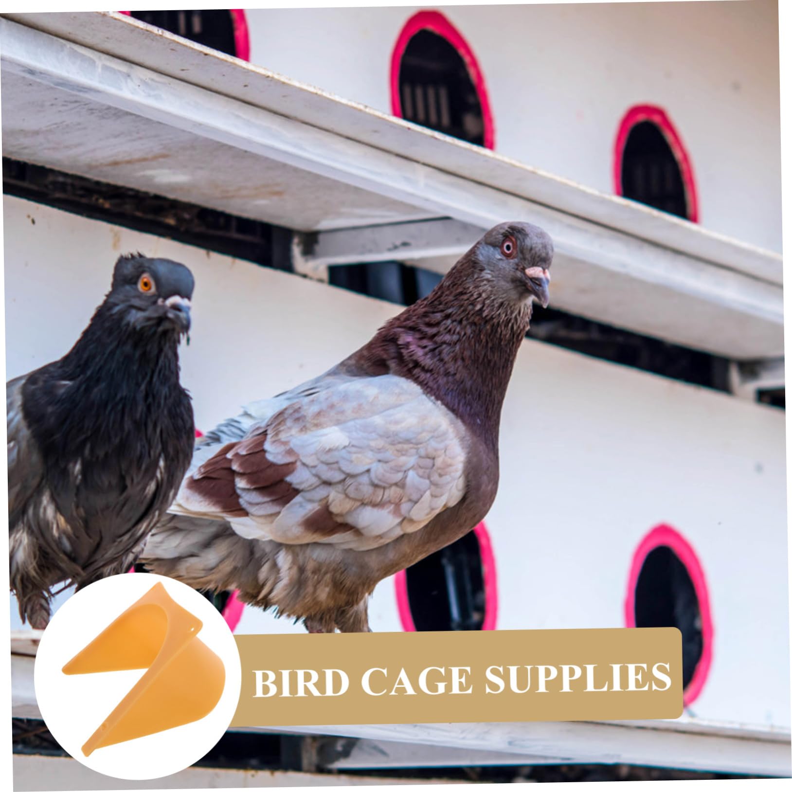 HANABASS 20piezas Puertas de Entrada para Estilo Europeo de Plástico Unidades Suministros para Jaulas Higiene Cuidado Aves