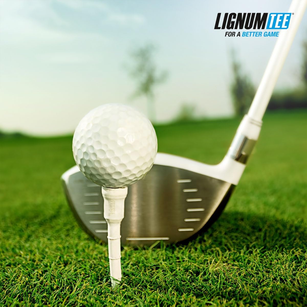 Pack de 12 Tees de Golf Lignum