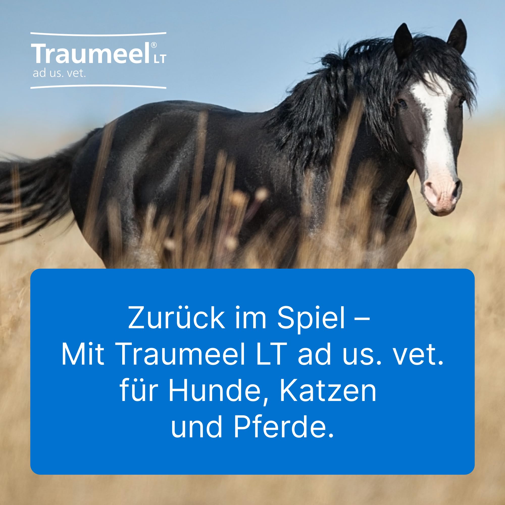 Traumeel LT ad us. vet. 2x100 Tabletten | Natürliches Tierarzneimittel für Hunde, Katzen, Pferde, Rinder, Schweine, Schafe und Ziegen | Made in Germany