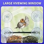 AIKS Fenêtre Bird Feeder avec 4 Coupes d'aspiration extra fortes, Grande maison d'oiseaux de plein air pour les cardinaux Bluebird Chickadees etc.