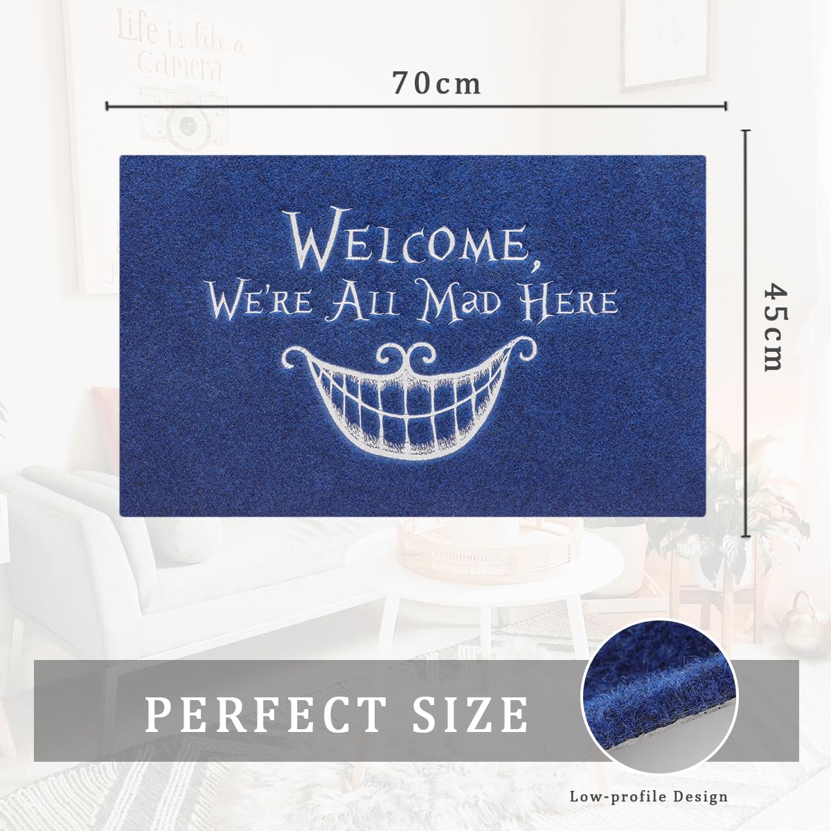AOAOPQ Funny Door Mats for Outside Entry Welcome Mats Outdoor Entrance Doormat for Front Door Home Lobby Farmhouse Office Patio Garage Bathroom Blue - Image 2