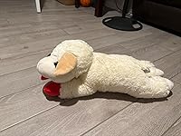 Review Image by David Scott