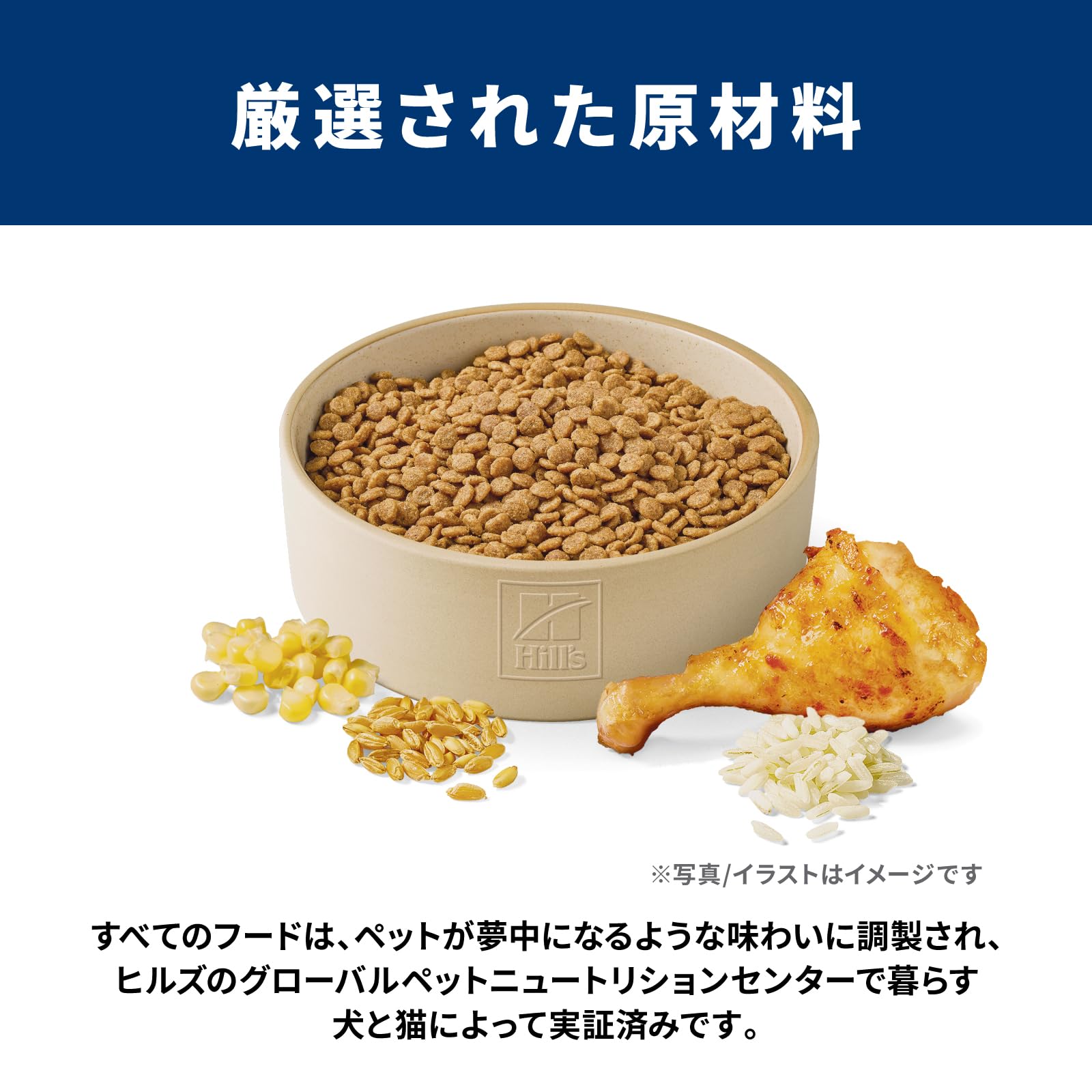 ヒルズ サイエンス・ダイエット ドッグフード 小型犬用 アダルト チキン