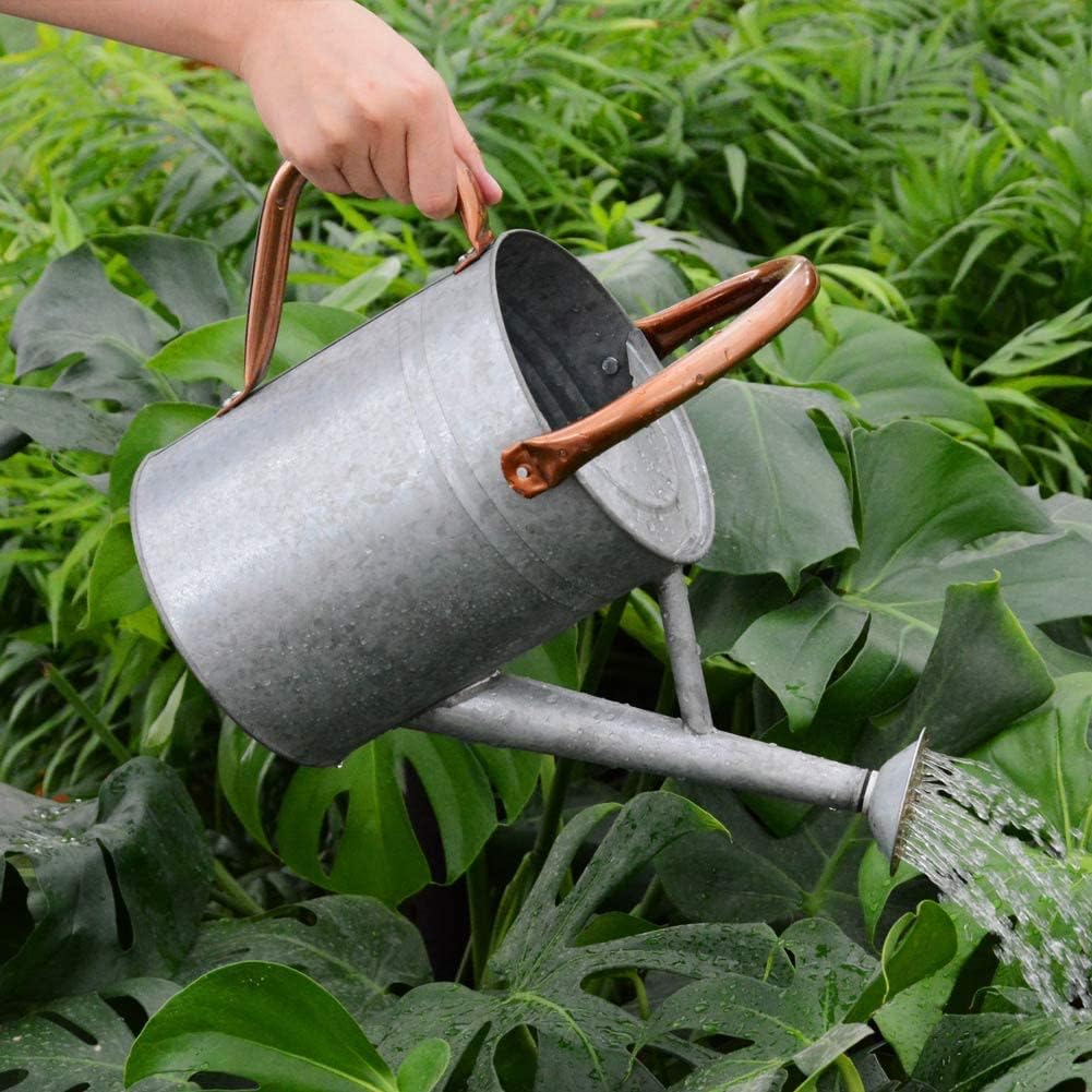 yourjoy Steel Watering Can Sliver Galvanized Steel Watering Can with Copper Accents,Removable Rosette-Diffuser,One-Gallon : Patio, Lawn & Garden